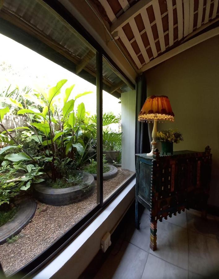 Ascot Bush Lodge Pietermaritzburg Eksteriør billede