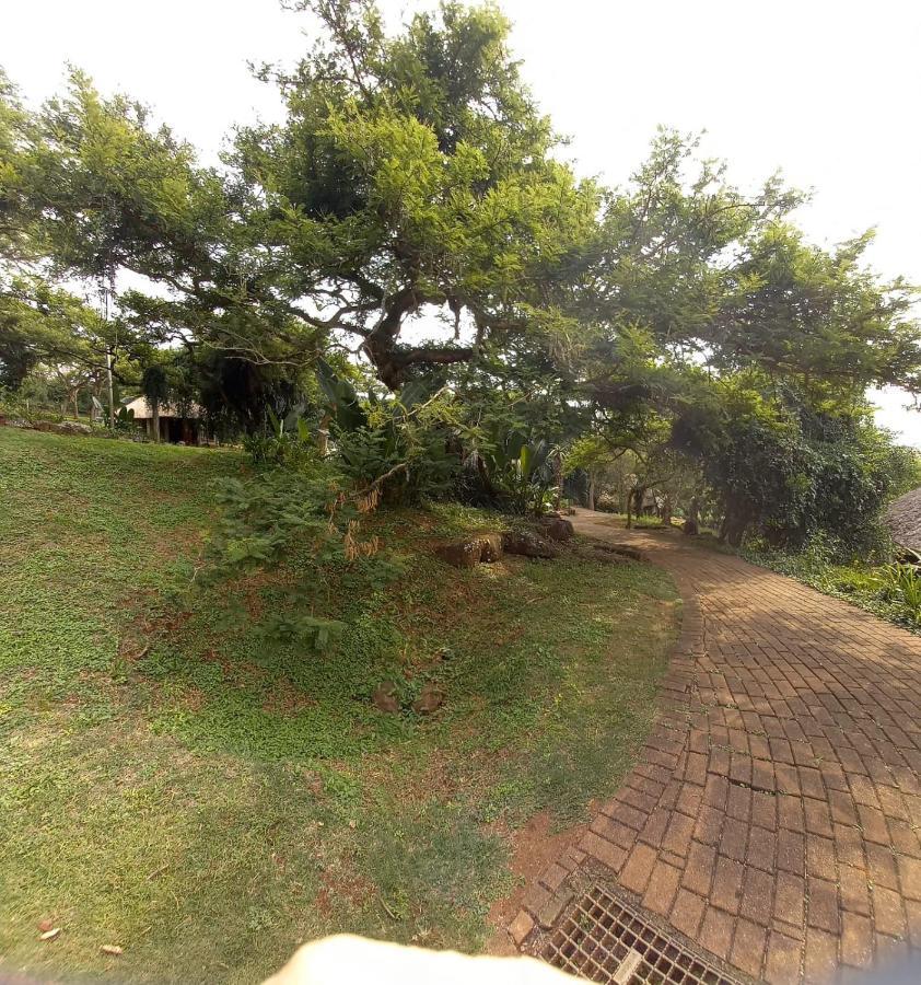 Ascot Bush Lodge Pietermaritzburg Eksteriør billede