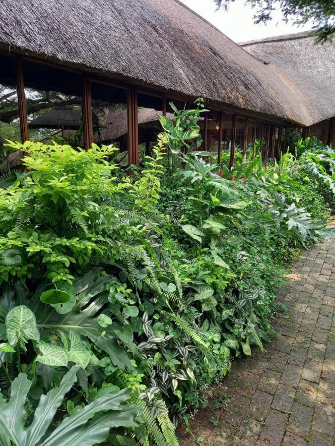 Ascot Bush Lodge Pietermaritzburg Eksteriør billede