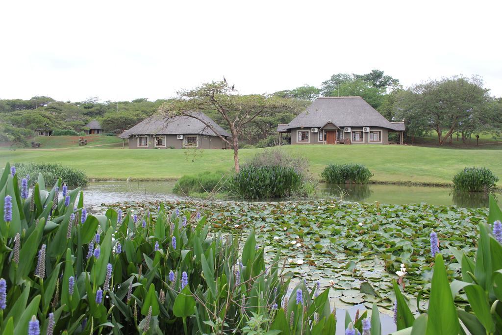 Ascot Bush Lodge Pietermaritzburg Eksteriør billede